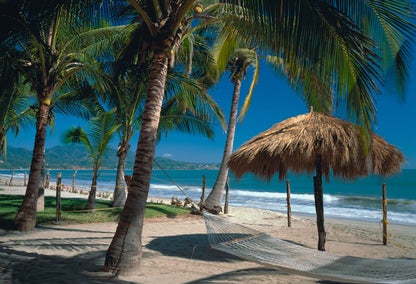 Beach and palm trees, Bucerias
