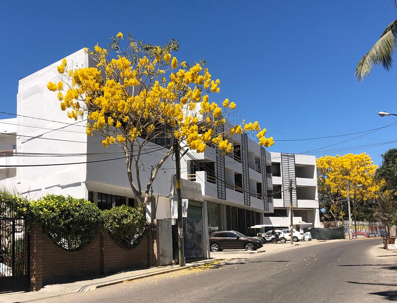 Estaciones 31, Flamingos, 63732 Bucerías, Nay, Bucerias